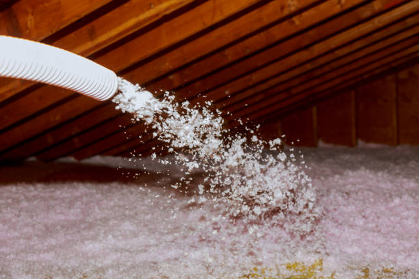 Professional Insulation Contractor in Oakland, FL