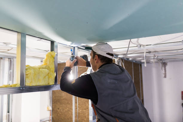 Best Blown-in Insulation in Oakland, FL