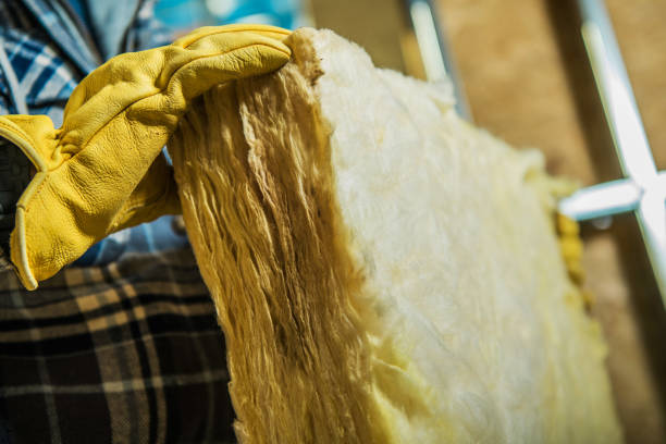Best Commercial Insulation in Oakland, FL