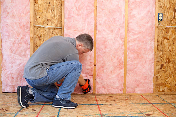 Best Cellulose Insulation in Oakland, FL